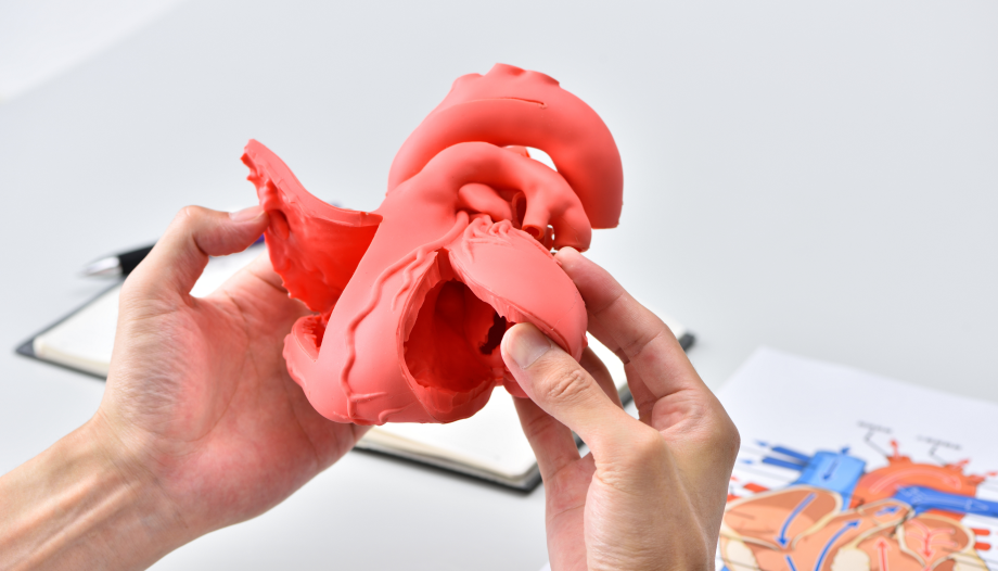 医療用3D臓器シミュレーター 